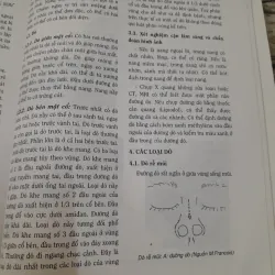 TAI MŨI HỌNG NHẬP MÔN- Phó GS Tiến sỹ NHAN TRỪNG SƠN. 788006