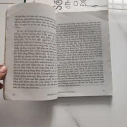 Mùa đi ngang phố  575560