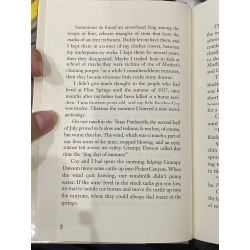 Discovery at Flint Springs - John R. Erickson 498619