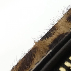 Túi xách Salvatore Ferragamo 21 F323 - Hàng hiệu Chính hãng 770785