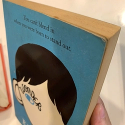 Wonder - R.J.Palacio 542501