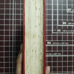 Điện Biên Phủ một góc địa ngục - Bernard B. Fall 731161