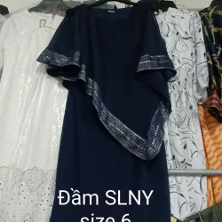 Đầm SLNY size 6 đồng giá 75k 1040975