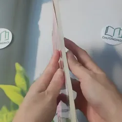 Võ Thị Sáu - Con Người Và Huyền Thoại - Nguyễn Đình Thống 928527