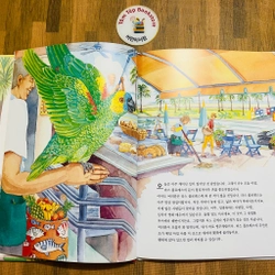 Set sách tranh cho bé 아이성장 그림책   496934