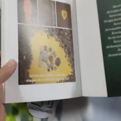 Việc Lớn Nhất Đời Người - Cư Sĩ Diệu Âm Diệu Ngộ 776134