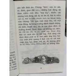 Côn Trùng – Chuyện Kể Khoa Học Cho Học Sinh Tiểu Học 549654