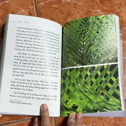 Đạo - Osho (sách màu) 1021828