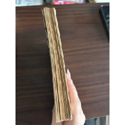 Ván Bài Lật Ngửa - Nguyễn Trương Thiên Lý 931959