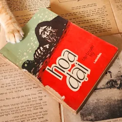 Truyện ngắn Mỹ: HOA DẠI 728390