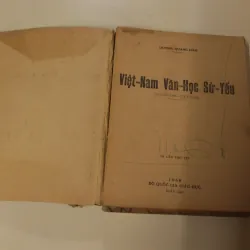 Việt Nam văn học sử yếu 957960