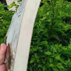 Bộ tột cùng hạnh phúc tiểu thuyết của Arundhati Roy 997359