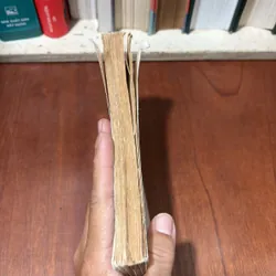 [Có Chữ Ký Của Tác Giả] - II Sách Lịch Sử: Phong Trào Duy Tân - Nguyễn Văn Xuân - 1995 711822