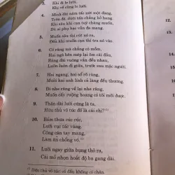 Câu đố Việt Nam - Ninh Viết Giao 991648