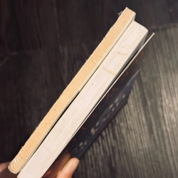 Combo Cuộc nổi loạn của botchan + ngày 210 - Natsume Soseki 519470
