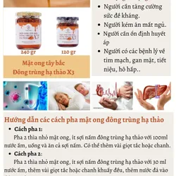 Mật ong Tây bắc đông trùng hạ thảo x3, Trung nhân(hũ 240g)  719554