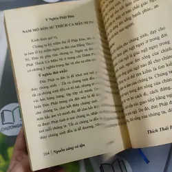 Nguồn Sáng Vô Tận - Thích Thái Hòa 990452