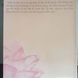 Tình Như Hạt Nắng 694084