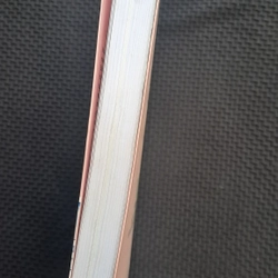 Thế giới này chỉ em được bắt nạt anh - Meng Qi Qui 496900