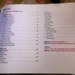 Sức sống Trường Sa - Hoàng Chí Hùng  1002441