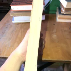 Đức Kyto suối mạch tình thương  957986