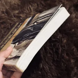 Chuyện tình núi BrokeBack 719006