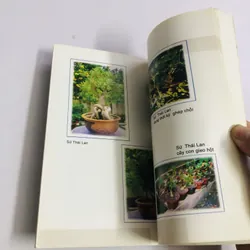 KỸ THUẬT TRỒNG & KINH DOANH KIỂNG XƯƠNG RỒNG, XƯƠNG RỒNG BÁT TIÊN, SỨ THÁI LAN  595103