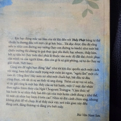 Thấy Phật | Cao Huy Thuần  493392