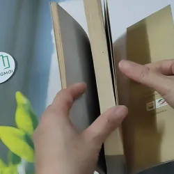 Tôi Tự Hào Là Người Việt Nam - Nguyễn Mạnh Hùng 928616