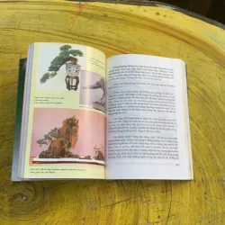 COMBO BONSAI Cây dáng, thế và Non bộ  775779