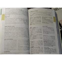 The Rough Guide to Japan 991872