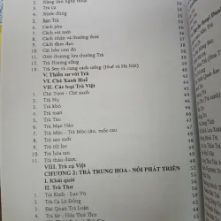 LỤC BÁT TRÀ - PHẠM VĂN SAU 711672