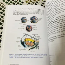 PHÔI THAI HỌC 799117