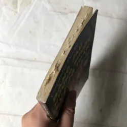 Đằng Sau Những Khuôn Cửa Sổ Thần - Cornelia Funke 800224