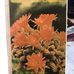 Chúc tụng chúa 2  1026612