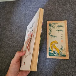 Chị đẹp ve vãn Sài Gòn 735163