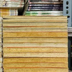 Orange chocolate full 13 tập  1023180