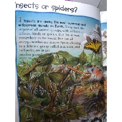 100 things you should know about Insects and Spiders mới 80% cong bìa nhẹ Miles Kelly HPB2607 NGOẠI VĂN 191300