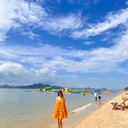 Váy nữ nắng vàng dáng suông kiểu dáng xòe đính hoa nổi siêu xinh