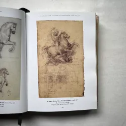 Leonardo Da Vinci 1028940