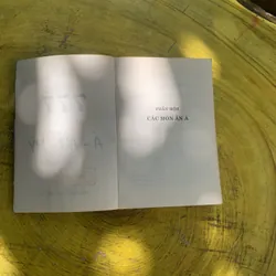 777 MÓN ĂN Á- ÂU - MỸ MAI HÀ THU 738400