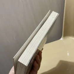 Giám đốc và em - Meggie Phạm 970356