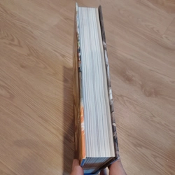 Harry Potter và Chiếc Cốc Lửa - J. K. Rowling (Bản Jim Kay) 472598