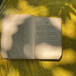 ĐỒNG ÂM DẪN GIẢI VÀ MẸO LUẬT CHÍNH TẢ- TRẦN VĂN THANH 713223