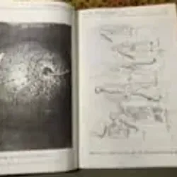 TÍCH HỢP VĂN HÓA ĐÔNG TÂY CHO MỘT CHIẾN LƯỢC GIÁO DỤC TƯƠNG LAI ( Xuất bản 1996 bìa cứng ) 683795