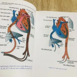 PHÔI THAI HỌC  1013029