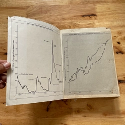 II Economics Books: ECONOMICS - Paul A. Samuelson & William D. Nordhaus 493825