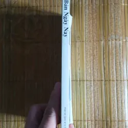 Nhật Bản Ngày Nay 1041398