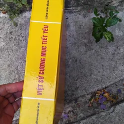 Việt sử cương mục tiết yếu của Đặng Xuân Bảng  1026057