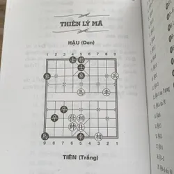 Vạn kỳ thế chiến, Lý Anh Mậu-Đào Bá Kiều 713994